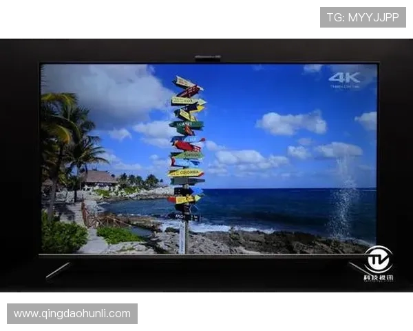 开云下载旗舰厅官方地址官方入口安全保障措施与用户使用体验提升