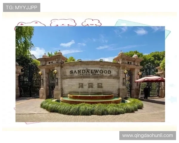 下载开云app享受一站式奢华购物体验开启你的尊贵生活新篇章