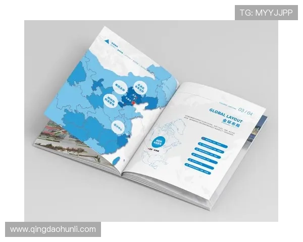 开云平台网页版界面功能布局与操作技巧，提升操作效率