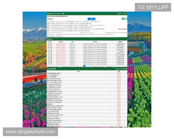 问鼎地址登录入口常见问题解答及安全登录技巧分享