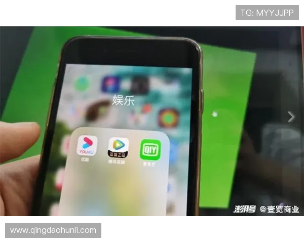 壹号娱乐下载苹果版安全安装流程及注意事项确保玩家游戏体验顺畅