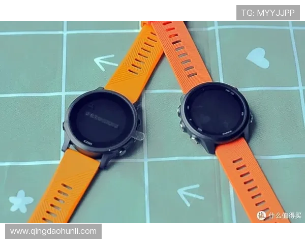 深入了解哈哈体育平台的特色功能与用户体验提升技巧