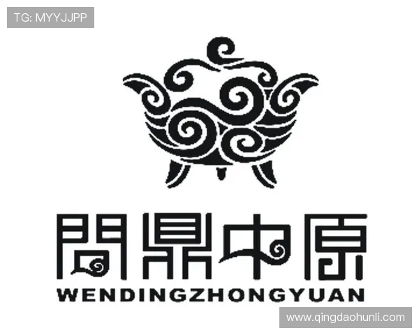 问鼎入口官网网址官方最新更新版本及安全登录方法全攻略