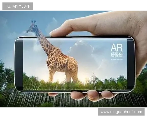 问鼎苹果官网入口：全面解析苹果官网入口的最新入口指南与使用技巧